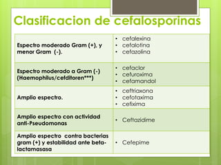 Clasificacion de cefalosporinas
Espectro moderado Gram (+), y
menor Gram (-).

• cefalexina
• cefalotina
• cefazolina

Espectro moderado a Gram (-)
(Haemophilus/cefditoren***)

• cefaclor
• cefuroxima
• cefamandol

Amplio espectro.

• ceftriaxona
• cefotaxima
• cefixima

Amplio espectro con actividad
anti-Pseudomonas

• Ceftazidime

Amplio espectro contra bacterias
gram (+) y estabilidad ante betalactamasasa

• Cefepime

 