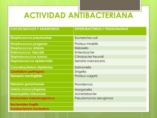 ACTIVIDAD ANTIBACTERIANA
COCOS/BACILOS Y ANAEROBIOS

ENTEROBACTERIAS Y PSEUDOMONAS

Streptococcus pneumoniae

Escherichia coli

Streptococcus pyogenes
Streptococcus viridans
Enterococcus faecalis
Staphylococccus aureus
Staphylococcus epidermidis

Proteus mirabilis
Klebsiella
Enterobacter
Citrobacter freundii
Serratia marcescens

Corynebacterium diphteriae
Clostridium perfringens
Neisseria meningitidis

Salmonella
Shigella
Proteus vulgaris

Neisseria gonorrhoeae

Providencia

Listeria monocytogenes
Haemophilus influenzae
Bacteroides melaninogenicus

Morganella
Acinetobacter
Pseudomonas aeruginosa

Bacteroides fragilis
Fusobacterium nucleatum

 