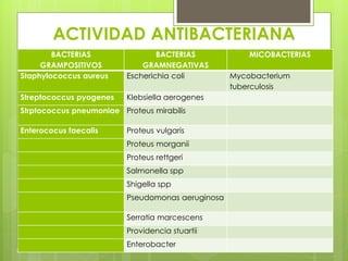 ACTIVIDAD ANTIBACTERIANA
BACTERIAS
GRAMPOSITIVOS
Staphylococcus aureus

BACTERIAS
GRAMNEGATIVAS
Escherichia coli

Streptococcus pyogenes

Klebsiella aerogenes

Strptococcus pneumoniae Proteus mirabilis
Enterococus faecalis

Proteus vulgaris
Proteus morganii
Proteus rettgeri
Salmonella spp
Shigella spp
Pseudomonas aeruginosa
Serratia marcescens
Providencia stuartii
Enterobacter

MICOBACTERIAS
Mycobacterium
tuberculosis

 