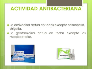 ACTIVIDAD ANTIBACTERIANA
 La

amikacina actua en todas excepto salmonella,
shigella.
 La gentamicina actua en todas excepto las
micobacterias.

 