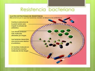 Resistencia bacteriana

 