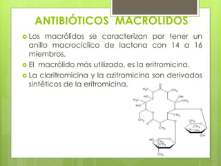 ANTIBIÓTICOS MACROLIDOS
 Los

macrólidos se caracterizan por tener un
anillo macrocíclico de lactona con 14 a 16
miembros.
 El macrólido más utilizado, es la eritromicina.
 La claritromicina y la azitromicina son derivados
sintéticos de la eritromicina.

 