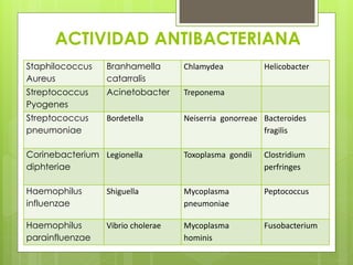ACTIVIDAD ANTIBACTERIANA
Staphilococcus
Aureus

Branhamella
catarralis

Chlamydea

Streptococcus
Pyogenes

Acinetobacter

Treponema

Streptococcus
pneumoniae

Bordetella

Neiserria gonorreae Bacteroides
fragilis

Helicobacter

Corinebacterium Legionella
diphteriae

Toxoplasma gondii

Clostridium
perfringes

Haemophilus
influenzae

Shiguella

Mycoplasma
pneumoniae

Peptococcus

Haemophilus
parainfluenzae

Vibrio cholerae

Mycoplasma
hominis

Fusobacterium

 