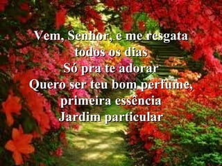 Vem, Senhor, e me resgata
todos os dias
Só pra te adorar
Quero ser teu bom perfume,
primeira essência
Jardim particular

 