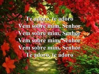 Te adoro, te adoro
Vem sobre mim, Senhor
Vem sobre mim, Senhor
Vem sobre mim, Senhor
Vem sobre mim, Senhor
Te adoro, te adoro

 