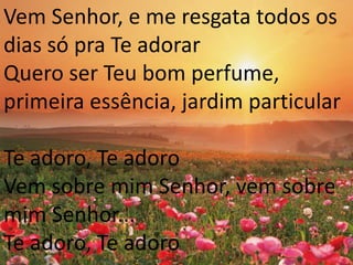 Vem Senhor, e me resgata todos os
dias só pra Te adorar
Quero ser Teu bom perfume,
primeira essência, jardim particular
Te adoro, Te adoro
Vem sobre mim Senhor, vem sobre
mim Senhor...
Te adoro, Te adoro
 