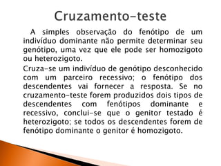 A simples observação do fenótipo de um
indivíduo dominante não permite determinar seu
genótipo, uma vez que ele pode ser homozigoto
ou heterozigoto.
Cruza-se um indivíduo de genótipo desconhecido
com um parceiro recessivo; o fenótipo dos
descendentes vai fornecer a resposta. Se no
cruzamento-teste forem produzidos dois tipos de
descendentes com fenótipos dominante e
recessivo, conclui-se que o genitor testado é
heterozigoto; se todos os descendentes forem de
fenótipo dominante o genitor é homozigoto.
 