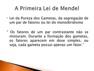   Lei da Pureza dos Gametas, da segregação de
    um par de fatores ou lei do monoibridismo

“ Os fatores de um par contrastante não se
  misturam. Durante a formação dos gametas,
  os fatores aparecem em dose simples, ou
  seja, cada gameta possui apenas um fator.”
 