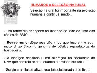 Evolution
Academy
Seleção natural foi importante na evolução
humana e continua sendo...
HUMANOS x SELEÇÃO NATURAL
- Um retrovírus endógeno foi inserido ao lado de uma das
cópias do AMY1.
- Retrovírus endógenos: são vírus que inserem o seu
material genético no genoma de células reprodutoras do
hospedeiro.
- A inserção ocasionou uma alteração na sequência do
DNA que controla onde e quando a amilase era feita.
- Surgiu a amilase salivar, que foi selecionada e se fixou.
 