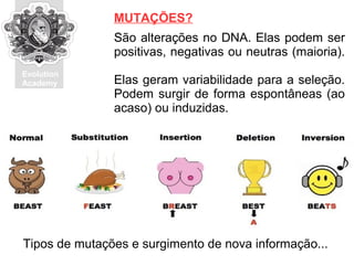 Evolution
Academy
São alterações no DNA. Elas podem ser
positivas, negativas ou neutras (maioria).
Elas geram variabilidade para a seleção.
Podem surgir de forma espontâneas (ao
acaso) ou induzidas.
MUTAÇÕES?
Tipos de mutações e surgimento de nova informação...
 