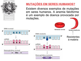 Evolution
Academy
Existem diversos exemplos de mutações
em seres humanos. A anemia falciforme
é um exemplo de doença provocada por
mutações.
MUTAÇÕES EM SERES HUMANOS?
Resistentes
à malária
 