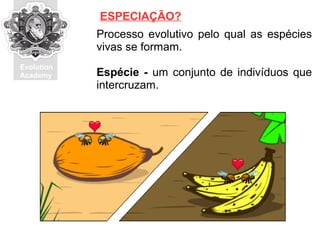 Evolution
Academy
Processo evolutivo pelo qual as espécies
vivas se formam.
Espécie - um conjunto de indivíduos que
intercruzam.
ESPECIAÇÃO?
 