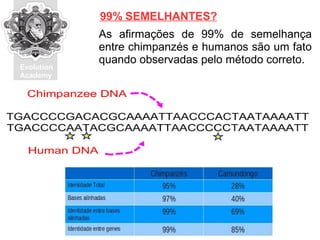 Evolution
Academy
As afirmações de 99% de semelhança
entre chimpanzés e humanos são um fato
quando observadas pelo método correto.
99% SEMELHANTES?
 