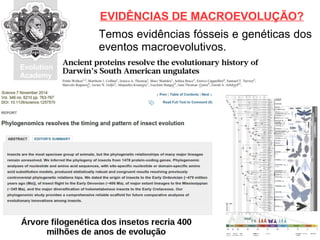 Evolution
Academy
Temos evidências fósseis e genéticas dos
eventos macroevolutivos.
EVIDÊNCIAS DE MACROEVOLUÇÃO?
 