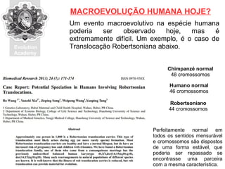 Evolution
Academy
Um evento macroevolutivo na espécie humana
poderia ser observado hoje, mas é
extremamente difícil. Um exemplo, é o caso de
Translocação Robertsoniana abaixo.
MACROEVOLUÇÃO HUMANA HOJE?
Chimpanzé normal
48 cromossomos
Humano normal
46 cromossomos
Robertsoniano
44 cromossomos
Perfeitamente normal em
todos os sentidos mensurável
e cromossomos são dispostos
de uma forma estável, que
poderia ser repassado se
encontrasse uma parceira
com a mesma característica.
 