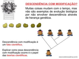Evolution
Academy
Muitas coisas mudam com o tempo, mas
não são exemplos de evolução biológica
por não envolver descendência através
de herança genética.
DESCENDÊNCIA COM MODIFICAÇÃO?
Descendência com modificação é
um fato científico.
Explicar como essa descendência
com modificação ocorre é o papel
das teorias científicas.
 