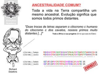Evolution
Academy
Toda a vida na Terra compartilha um
mesmo ancestral. Evolução significa que
somos todos primos distantes.
ANCESTRALIDADE COMUM?
"Doze trocas de letras separam o citocromo c humano
do citocromo c dos cavalos, nossos primos muito
distantes [...]"
Richard
Dawkins
Toda a África e sua progênie (O rio que saía do Éden)
 