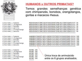 Evolution
Academy
Temos grandes semelhanças genética
com chimpanzés, bonobos, orangotangos,
gorilas e macacos rhesus.
HUMANOS x OUTROS PRIMATAS?
Única troca de aminoácido
entre os 6 grupos analisados.
 