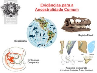 Evolution
Academy
Evidências para a
Ancestralidade Comum
Anatomia Comparada
(Homologia, Analogia e Órgãos Vestigiais)
Registro Fóssil
Biogeografia
Embriologia
Comparada
 