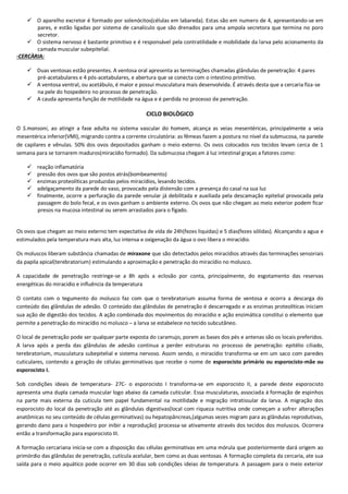  O aparelho excretor é formado por solenócitos(células em labareda). Estas são em numero de 4, apresentando-se em
pares, e estão ligadas por sistema de canalículo que são drenados para uma ampola secretora que termina no poro
secretor.
 O sistema nervoso é bastante primitivo e é responsável pela contratilidade e mobilidade da larva pelo acionamento da
camada muscular subepitelial.
-CERCÀRIA:
 Duas ventosas estão presentes. A ventosa oral apresenta as terminações chamadas glândulas de penetração: 4 pares
pré-acetabulares e 4 pós-acetabulares, e abertura que se conecta com o intestino primitivo.
 A ventosa ventral, ou acetábulo, é maior e possui musculatura mais desenvolvida. É através desta que a cercaria fiza-se
na pele do hospedeiro no processo de penetração.
 A cauda apresenta função de motilidade na água e é perdida no processo de penetração.
CICLO BIOLÒGICO
O S.mansoni, ao atingir a fase adulta no sistema vascular do homem, alcança as veias mesentéricas, principalmente a veia
mesentérica inferior(VMI), migrando contra a corrente circulatória: as fêmeas fazem a postura no nível da submucosa, na parede
de capilares e vênulas. 50% dos ovos depositados ganham o meio externo. Os ovos colocados nos tecidos levam cerca de 1
semana para se tornarem maduros(miracídio formado). Da submucosa chegam á luz intestinal graças a fatores como:
 reação inflamatória
 pressão dos ovos que são postos atrás(bombeamento)
 enzimas proteolíticas produzidas pelos miracídios, lesando tecidos.
 adelgaçamento da parede do vaso, provocado pela distensão com a presença do casal na sua luz
 finalmente, ocorre a perfuração da parede venular já debilitada e auxiliada pela descamação epitelial provocada pela
passagem do bolo fecal, e os ovos ganham o ambiente externo. Os ovos que não chegam ao meio exterior podem ficar
presos na mucosa intestinal ou serem arrastados para o fígado.
Os ovos que chegam ao meio externo tem expectativa de vida de 24h(fezes liquidas) e 5 dias(fezes sólidas). Alcançando a agua e
estimulados pela temperatura mais alta, luz intensa e oxigenação da água o ovo libera o miracídio.
Os moluscos liberam substância chamadas de miraxone que são detectados pelos miracídios através das terminações sensoriais
da papila apical(terebratorium) estimulando a aproximação e penetração do miracídio no molusco.
A capacidade de penetração restringe-se a 8h após a eclosão por conta, principalmente, do esgotamento das reservas
energéticas do miracidio e influência da temperatura
O contato com o tegumento do molusco faz com que o terebratorium assuma forma de ventosa e ocorra a descarga do
conteúdo das glândulas de adesão. O conteúdo das glândulas de penetração é descarregado e as enzimas proteolíticas iniciam
sua ação de digestão dos tecidos. A ação combinada dos movimentos do miracídio e ação enzimática constitui o elemento que
permite a penetração do miracídio no molusco – a larva se estabelece no tecido subcutâneo.
O local de penetração pode ser qualquer parte exposta do caramujo, porem as bases dos pés e antenas são os locais preferidos.
A larva após a perda das glândulas de adesão continua a perder estruturas no processo de penetração: epitélio ciliado,
terebratorium, musculatura subepitelial e sistema nervoso. Assim sendo, o miracídio transforma-se em um saco com paredes
cuticulares, contendo a geração de células germinativas que recebe o nome de esporocisto primário ou esporocisto-mãe ou
esporocisto I.
Sob condições ideais de temperatura- 27C- o esporocisto I transforma-se em esporocisto II, a parede deste esporocisto
apresenta uma dupla camada muscular logo abaixo da camada cuticular. Essa musculaturas, associada á formação de espinhos
na parte mais externa da cutícula tem papel fundamental na motilidade e migração intratissular da larva. A migração dos
esporocisto do local da penetração até as glândulas digestivas(local com riqueza nutritiva onde começam a sofrer alterações
anatômicas no seu conteúdo de células germinativas) ou hepatopâncreas,(algumas vezes migram para as glândulas reprodutivas,
gerando dano para o hospedeiro por inibir a reprodução) processa-se ativamente através dos tecidos dos moluscos. Ocorrera
então a transformação para esporocisto III.
A formação cercariana inicia-se com a disposição das células germinativas em uma mórula que posteriormente dará origem ao
primórdio das glândulas de penetração, cutícula acelular, bem como as duas ventosas. A formação completa da cercaria, ate sua
saída para o meio aquático pode ocorrer em 30 dias sob condições ideias de temperatura. A passagem para o meio exterior
 