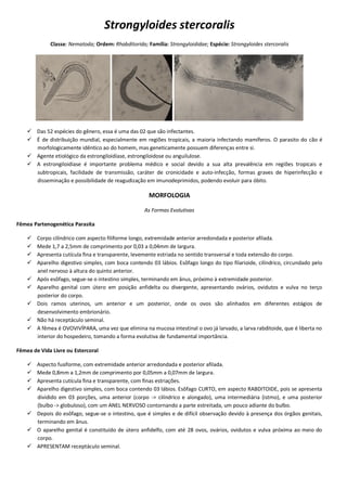 Strongyloides stercoralis
Classe: Nematoda; Ordem: Rhabditorida; Família: Strongyloididae; Espécie: Strongyloides stercoralis
 Das 52 espécies do gênero, essa é uma das 02 que são infectantes.
 É de distribuição mundial, especialmente em regiões tropicais, a maioria infectando mamíferos. O parasito do cão é
morfologicamente idêntico ao do homem, mas geneticamente possuem diferenças entre si.
 Agente etiológico da estrongiloidíase, estrongiloidose ou anguilulose.
 A estrongiloidíase é importante problema médico e social devido a sua alta prevalência em regiões tropicais e
subtropicais, facilidade de transmissão, caráter de cronicidade e auto-infecção, formas graves de hiperinfecção e
disseminação e possibilidade de reagudização em imunodeprimidos, podendo evoluir para óbito.
MORFOLOGIA
As Formas Evolutivas
Fêmea Partenogenética Parasita
 Corpo cilíndrico com aspecto filiforme longo, extremidade anterior arredondada e posterior afilada.
 Mede 1,7 a 2,5mm de comprimento por 0,03 a 0,04mm de largura.
 Apresenta cutícula fina e transparente, levemente estriada no sentido transversal e toda extensão do corpo.
 Aparelho digestivo simples, com boca contendo 03 lábios. Esôfago longo do tipo filarioide, cilíndrico, circundado pelo
anel nervoso à altura do quinto anterior.
 Após esôfago, segue-se o intestino simples, terminando em ânus, próximo à extremidade posterior.
 Aparelho genital com útero em posição anfidelta ou divergente, apresentando ovários, ovidutos e vulva no terço
posterior do corpo.
 Dois ramos uterinos, um anterior e um posterior, onde os ovos são alinhados em diferentes estágios de
desenvolvimento embrionário.
 Não há receptáculo seminal.
 A fêmea é OVOVIVÍPARA, uma vez que elimina na mucosa intestinal o ovo já larvado, a larva rabditoide, que é liberta no
interior do hospedeiro, tomando a forma evolutiva de fundamental importância.
Fêmea de Vida Livre ou Estercoral
 Aspecto fusiforme, com extremidade anterior arredondada e posterior afilada.
 Mede 0,8mm a 1,2mm de comprimento por 0,05mm a 0,07mm de largura.
 Apresenta cutícula fina e transparente, com finas estriações.
 Aparelho digestivo simples, com boca contendo 03 lábios. Esôfago CURTO, em aspecto RABDITOIDE, pois se apresenta
dividido em 03 porções, uma anterior (corpo -> cilíndrico e alongado), uma intermediária (istmo), e uma posterior
(bulbo -> globuloso), com um ANEL NERVOSO contornando a parte estreitada, um pouco adiante do bulbo.
 Depois do esôfago, segue-se o intestino, que é simples e de difícil observação devido à presença dos órgãos genitais,
terminando em ânus.
 O aparelho genital é constituído de útero anfidelfo, com até 28 ovos, ovários, ovidutos e vulva próxima ao meio do
corpo.
 APRESENTAM receptáculo seminal.
 