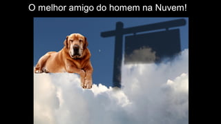 O melhor amigo do homem na Nuvem!
 