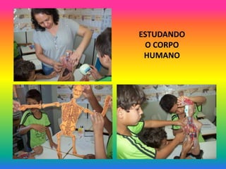 ESTUDANDO
 O CORPO
 HUMANO
 