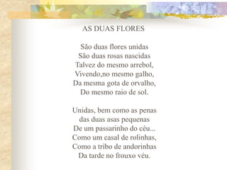 AS DUAS FLORES
São duas flores unidas
São duas rosas nascidas
Talvez do mesmo arrebol,
Vivendo,no mesmo galho,
Da mesma gota de orvalho,
Do mesmo raio de sol.
Unidas, bem como as penas
das duas asas pequenas
De um passarinho do céu...
Como um casal de rolinhas,
Como a tribo de andorinhas
Da tarde no frouxo véu.

 