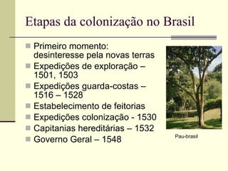 Etapas da colonização no Brasil Primeiro momento: desinteresse pela novas terras Expedições de exploração – 1501, 1503 Expedições guarda-costas – 1516 – 1528 Estabelecimento de feitorias  Expedições colonização - 1530 Capitanias hereditárias – 1532 Governo Geral – 1548  Pau-brasil 