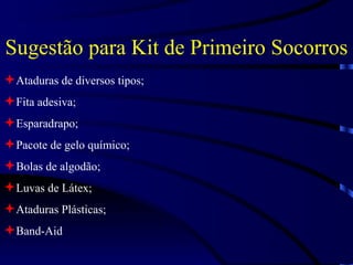 Sugestão para Kit de Primeiro Socorros Ataduras de diversos tipos; Fita adesiva; Esparadrapo; Pacote de gelo químico; Bolas de algodão; Luvas de Látex; Ataduras Plásticas; Band-Aid 