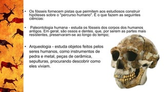 • Os fósseis fornecem pistas que permitem aos estudiosos construir
hipóteses sobre o "percurso humano". É o que fazem as seguintes
ciências:
• Paleontologia humana - estuda os fósseis dos corpos dos humanos
antigos. Em geral, são ossos e dentes, que, por serem as partes mais
resistentes, preservaram-se ao longo do tempo;
• Arqueologia - estuda objetos feitos pelos
seres humanos, como instrumentos de
pedra e metal, peças de cerâmica,
sepulturas, procurando descobrir como
eles viviam.
 