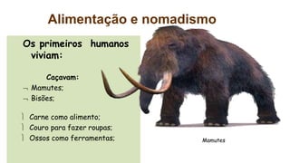 Os primeiros humanos
viviam:
Caçavam:
 Mamutes;
 Bisões;
 Carne como alimento;
 Couro para fazer roupas;
 Ossos como ferramentas; Mamutes
Alimentação e nomadismo
 
