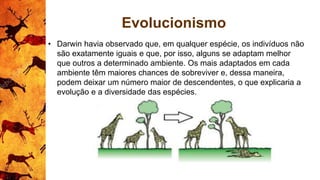 Evolucionismo
• Darwin havia observado que, em qualquer espécie, os indivíduos não
são exatamente iguais e que, por isso, alguns se adaptam melhor
que outros a determinado ambiente. Os mais adaptados em cada
ambiente têm maiores chances de sobreviver e, dessa maneira,
podem deixar um número maior de descendentes, o que explicaria a
evolução e a diversidade das espécies.
 