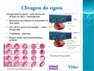 Clivagem do zigoto
Clivagem(30 hrs após) – tuba uterina em
direção ao útero + blastogênese

Blastocisto se implanta no endométrio (6
dias após)

24 a 48 hrs após a fecundação → teste
de gravidez

Trofoblasto – placenta

Massa celular interna/embrioblasto -
embrião
Fonte: http://www.trabalhonota10.com.br
Fonte: Moore & Persaud (2003)
VídeoAborto
 