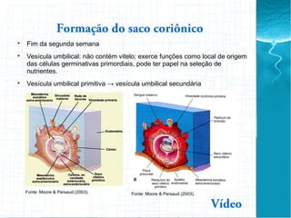 Formação do saco coriônico

Fim da segunda semana

Vesícula umbilical: não contém vitelo; exerce funções como local de origem
das células germinativas primordiais, pode ter papel na seleção de
nutrientes.

Vesícula umbilical primitiva → vesícula umbilical secundária
Vídeo
Fonte: Moore & Persaud (2003). Fonte: Moore & Persaud (2003).
 
