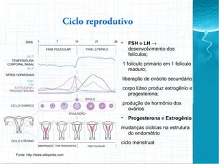 Ciclo reprodutivo
Fonte: http://www.wikipedia.com

FSH e LH →
desenvolvimento dos
folículos;
1 folículo primário em 1 folículo
maduro;
liberação de ovócito secundário;
corpo lúteo produz estrogênio e
progesterona;
produção de hormônio dos
ovários

Progesterona e Estrogênio
mudanças cíclicas na estrutura
do endométrio
ciclo menstrual
 