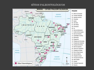 SÍTIOS PALEONTOLÓGICOS  