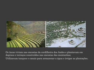 Os incas viviam nas encostas da cordilheira dos Andes e plantavam em degraus e terraços construídos nas encostas das montanhas;  Utilizavam tanques e canais para armazenar a água e irrigar as plantações. 
