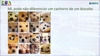 ML pode não diferenciar um cachorro de um biscoito
 