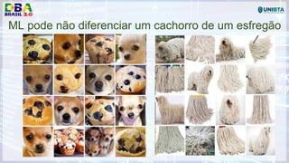 ML pode não diferenciar um cachorro de um esfregão
 