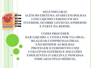 SEGUNDO GRAU
 ALÉM DO ERITEMA APARECEM BOLHAS
    COM LIQUIDO CEROSO EM SEU
INTERIOR. OCORRE LESÃO DA EPIDERME
         E PARTE DA DERME.

         COMO PROCEDER
DAR LIQUIDO A VITIMA POR VIA ORAL.
   REALIZAR COMPRESSAS FRIAS.
      NÃO ROMPER AS BOLHAS
   PROTEGER O FERIMENTO COM
  CURATIVOS ESTÉREIS E SOLUÇÕES
 EMOLIENTES (VASELINA E POMADAS
     INDICADAS PELO MÉDICO).
 