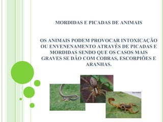 MORDIDAS E PICADAS DE ANIMAIS


OS ANIMAIS PODEM PROVOCAR INTOXICAÇÃO
OU ENVENENAMENTO ATRAVÉS DE PICADAS E
    MORDIDAS SENDO QUE OS CASOS MAIS
GRAVES SE DÃO COM COBRAS, ESCORPIÕES E
               ARANHAS.
 