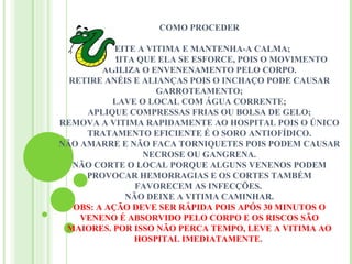 COMO PROCEDER

           DEITE A VITIMA E MANTENHA-A CALMA;
  NÃO PERMITA QUE ELA SE ESFORCE, POIS O MOVIMENTO
         AGILIZA O ENVENENAMENTO PELO CORPO.
  RETIRE ANÉIS E ALIANÇAS POIS O INCHAÇO PODE CAUSAR
                     GARROTEAMENTO;
            LAVE O LOCAL COM ÁGUA CORRENTE;
     APLIQUE COMPRESSAS FRIAS OU BOLSA DE GELO;
REMOVA A VITIMA RAPIDAMENTE AO HOSPITAL POIS O ÚNICO
     TRATAMENTO EFICIENTE É O SORO ANTIOFÍDICO.
NÃO AMARRE E NÃO FACA TORNIQUETES POIS PODEM CAUSAR
                  NECROSE OU GANGRENA.
   NÃO CORTE O LOCAL PORQUE ALGUNS VENENOS PODEM
     PROVOCAR HEMORRAGIAS E OS CORTES TAMBÉM
                FAVORECEM AS INFECÇÕES.
              NÃO DEIXE A VITIMA CAMINHAR.
   OBS: A AÇÃO DEVE SER RÁPIDA POIS APÓS 30 MINUTOS O
    VENENO É ABSORVIDO PELO CORPO E OS RISCOS SÃO
 MAIORES. POR ISSO NÃO PERCA TEMPO, LEVE A VITIMA AO
                HOSPITAL IMEDIATAMENTE.
 