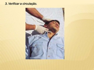 3. Verificar a circulação.
 