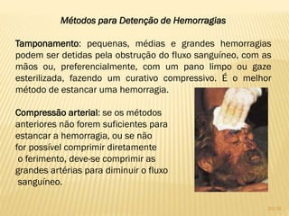 Métodos para Detenção de Hemorragias
Tamponamento: pequenas, médias e grandes hemorragias
podem ser detidas pela obstrução do fluxo sanguíneo, com as
mãos ou, preferencialmente, com um pano limpo ou gaze
esterilizada, fazendo um curativo compressivo. É o melhor
método de estancar uma hemorragia.
Compressão arterial: se os métodos
anteriores não forem suficientes para
estancar a hemorragia, ou se não
for possível comprimir diretamente
o ferimento, deve-se comprimir as
grandes artérias para diminuir o fluxo
sanguíneo.
35/16
 