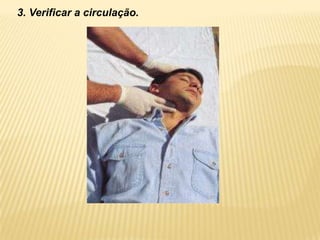 3. Verificar a circulação.
 