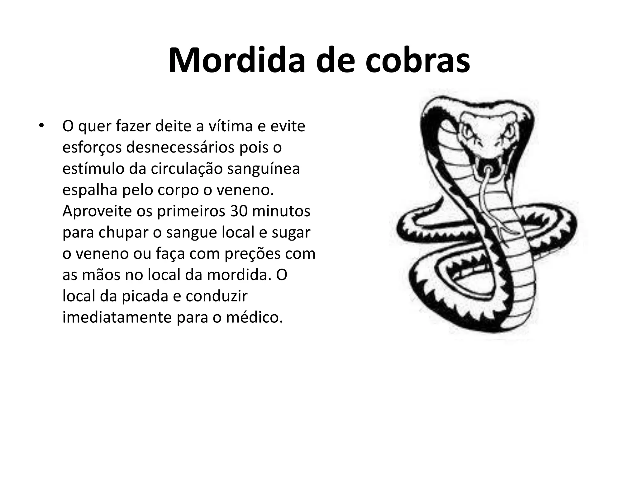 Primeiros socorros ataque animal | PPTX