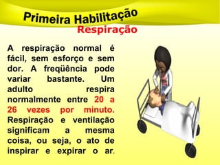 Respiração
A respiração normal é
fácil, sem esforço e sem
dor. A freqüência pode
variar bastante. Um
adulto respira
normalmente entre 20 a
26 vezes por minuto.
Respiração e ventilação
significam a mesma
coisa, ou seja, o ato de
inspirar e expirar o ar.
 