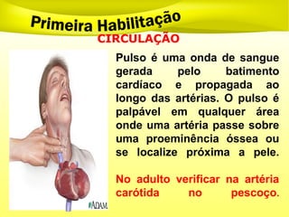 CIRCULAÇÃO
Pulso é uma onda de sangue
gerada pelo batimento
cardíaco e propagada ao
longo das artérias. O pulso é
palpável em qualquer área
onde uma artéria passe sobre
uma proeminência óssea ou
se localize próxima a pele.
No adulto verificar na artéria
carótida no pescoço.
 