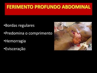 FERIMENTO PROFUNDO ABDOMINAL
•Bordas regulares
•Predomina o comprimento
•Hemorragia
•Evisceração
 